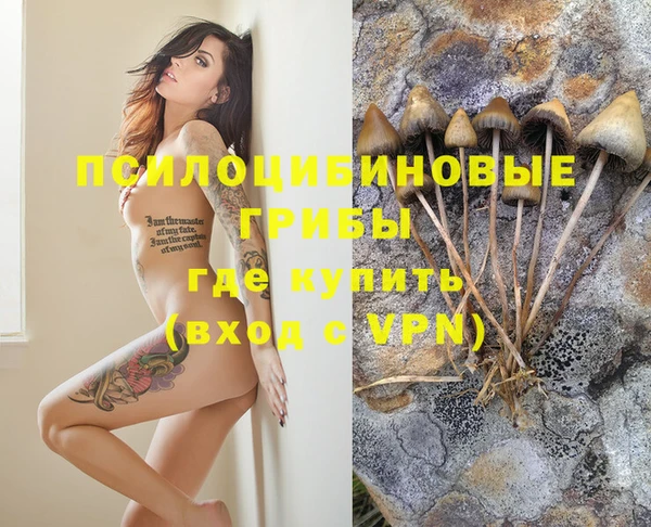 скорость mdpv Новокубанск
