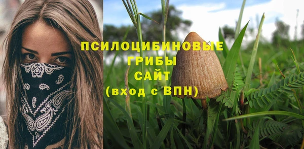 марихуана Новодвинск