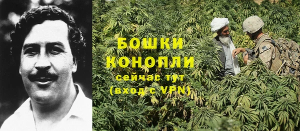 apvp Новозыбков