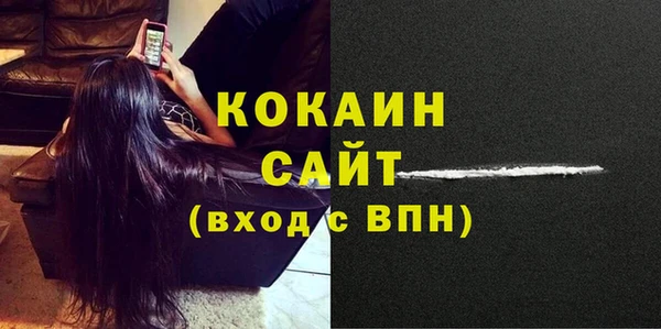 apvp Новозыбков