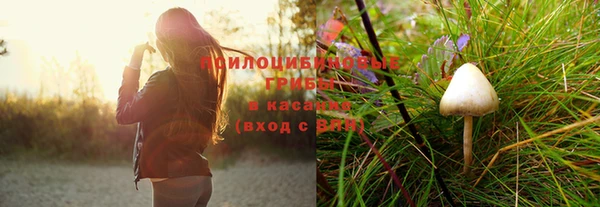 марихуана Новодвинск