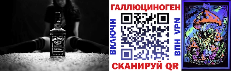 Купить где Канаш Псилоцибиновые грибы Psilocybine cubensis